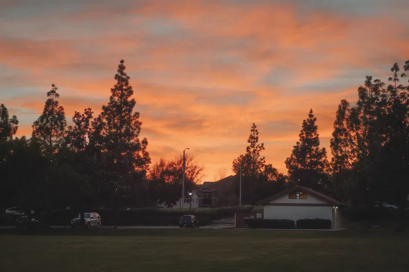 An orange and pink evening sky over a quiet neighborhood of low houses and tall evergreen trees